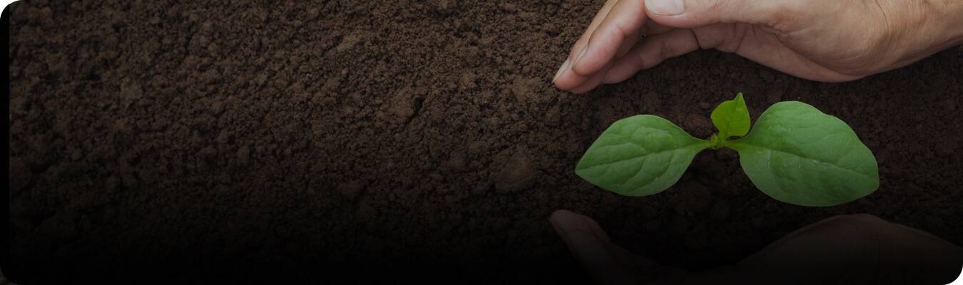 Екологічні засоби стоматологічної допомоги